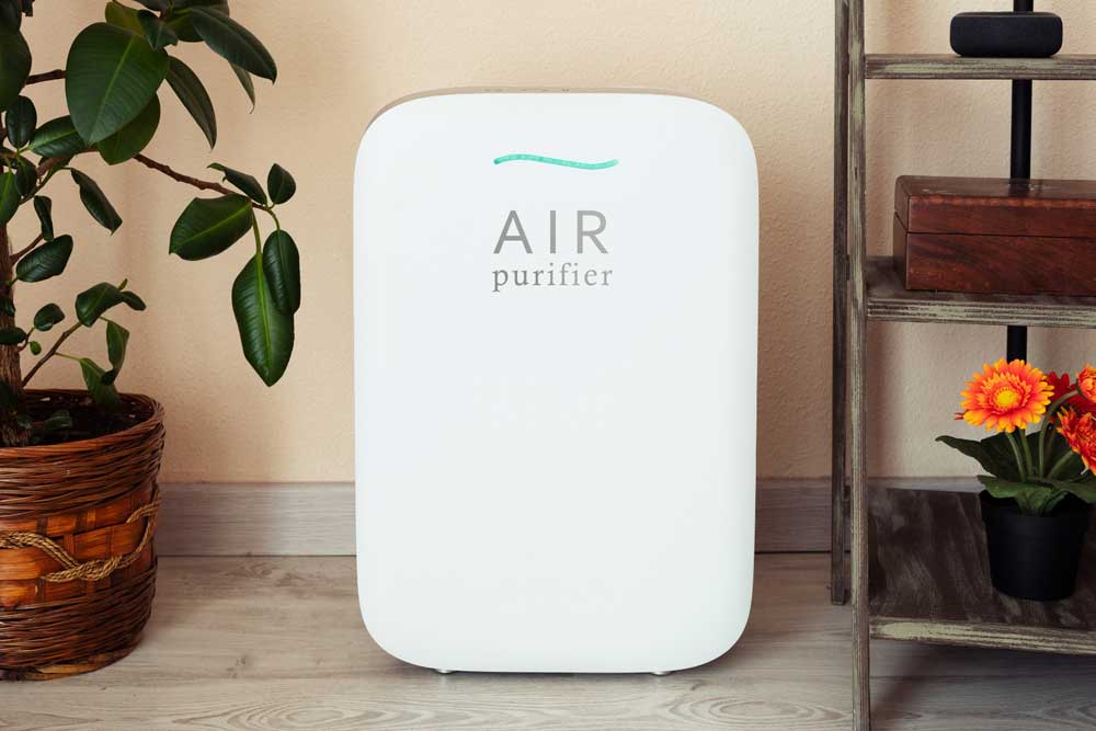 Home air purifier unit standing beside a houseplant